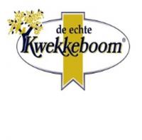 Kwekkeboom