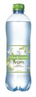 FUSION LIMOEN&MINT PET 50 CL