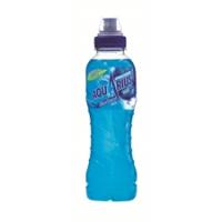 ISOTONIC BLUE ICE PET 33 CL (BLAUW)