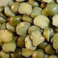SPLITERWTEN BULK