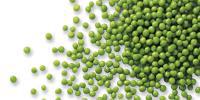 TUINERWTEN EXTRA FIJN tot 7,5 MM