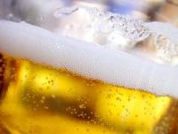 HORECA PILS ZILVER FUST 4,8%